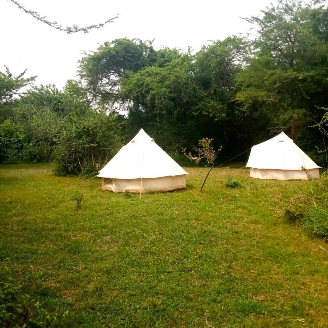 Murchison Giraffe Camp Paraa エクステリア 写真