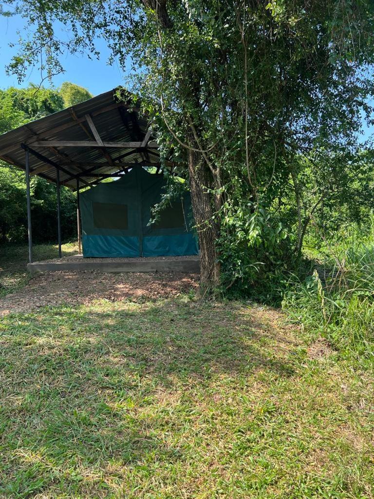 Murchison Giraffe Camp Paraa エクステリア 写真